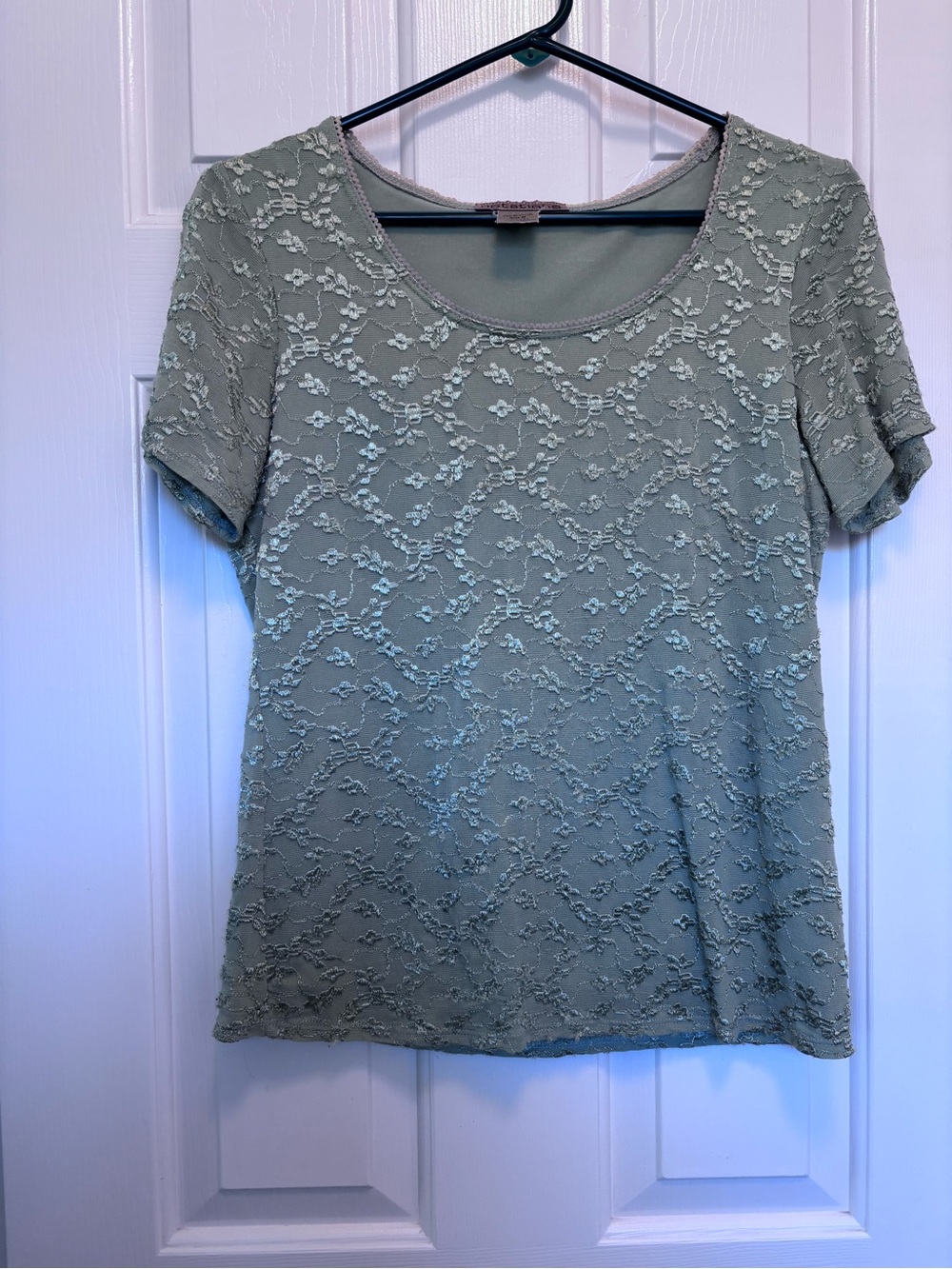 Vintage Notations Sage Lace Short Sleeve Scoop Neck Blouse
